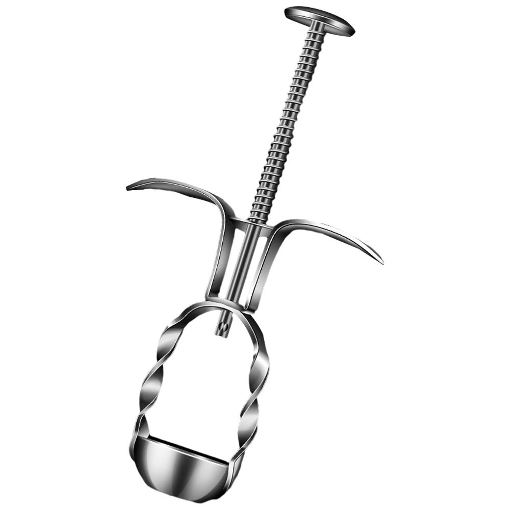 Penghilang Biji Ceri Jujube da - Cherry Pitter Tool ulasan dan harga